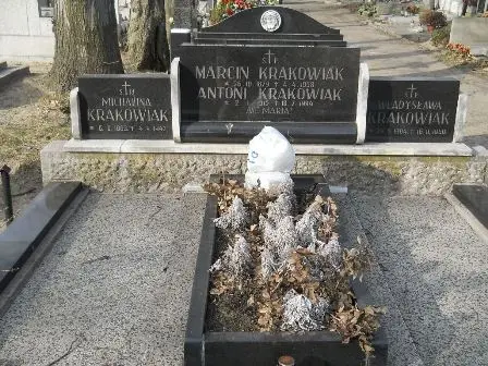 Zdjęcie grobu Krzyż./101,102,103