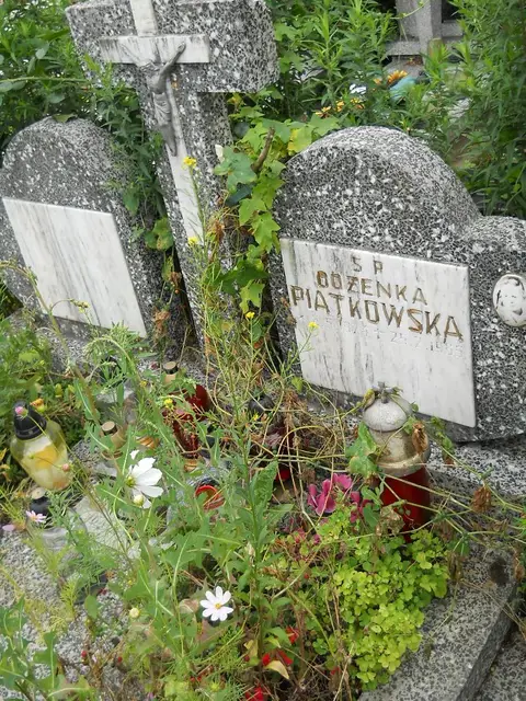 Zdjęcie grobu 26/23062