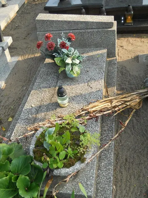 Zdjęcie grobu 23/28786