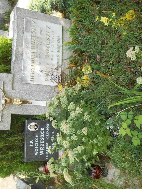 Zdjęcie grobu 18/28196