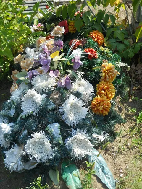 Zdjęcie grobu 14/27621