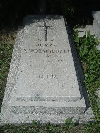 Zdjęcie grobu 28/100