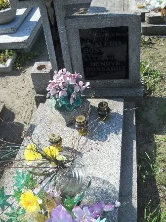 Zdjęcie grobu 14/100