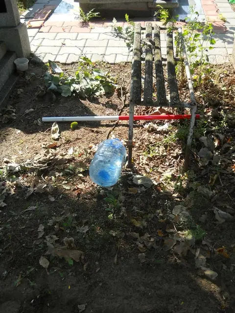 Zdjęcie grobu 14/27178