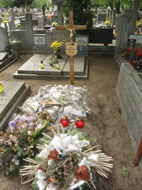 Zdjęcie grobu 12/29566