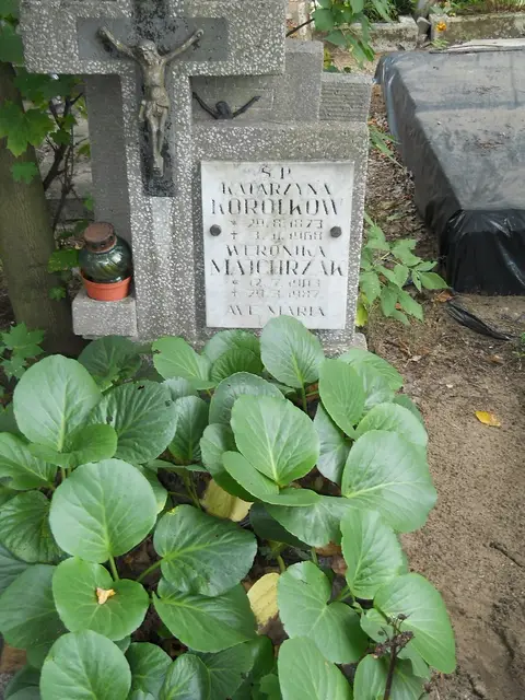 Zdjęcie grobu 12/29475