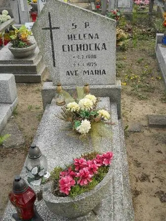 Zdjęcie grobu 9/100