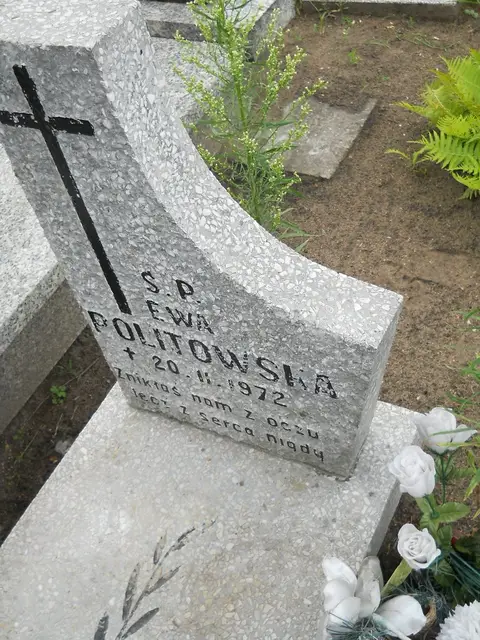 Zdjęcie grobu 21/23878