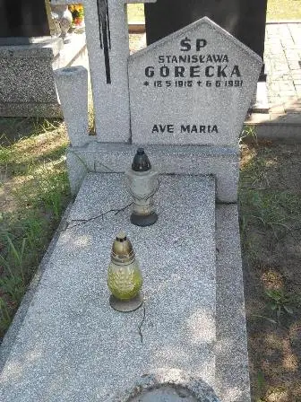 Zdjęcie grobu 46/100