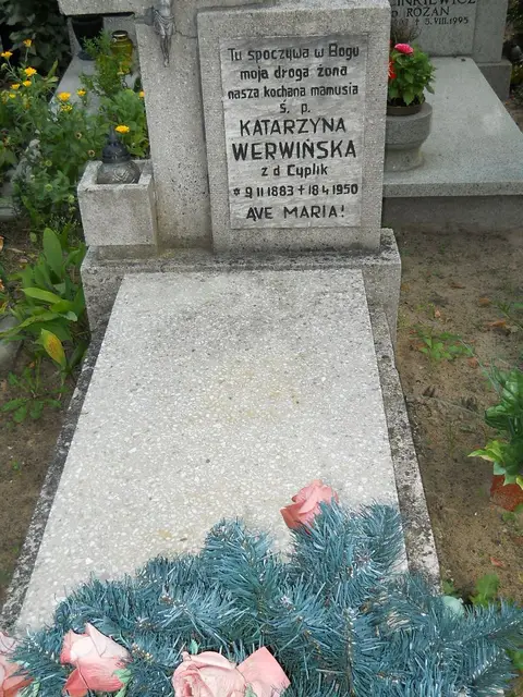 Zdjęcie grobu 15/26816