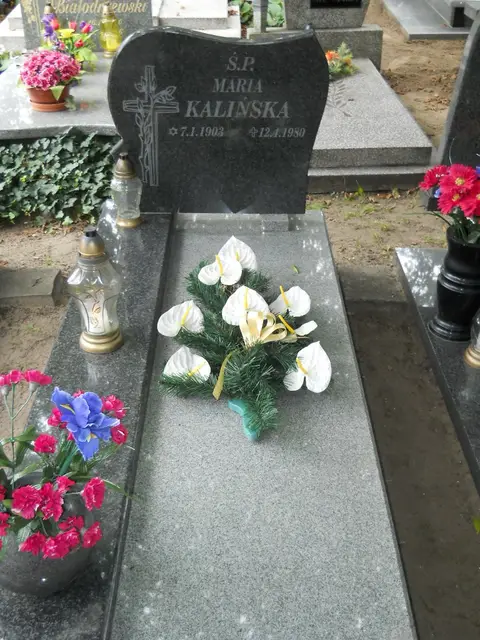 Zdjęcie grobu 13/29675