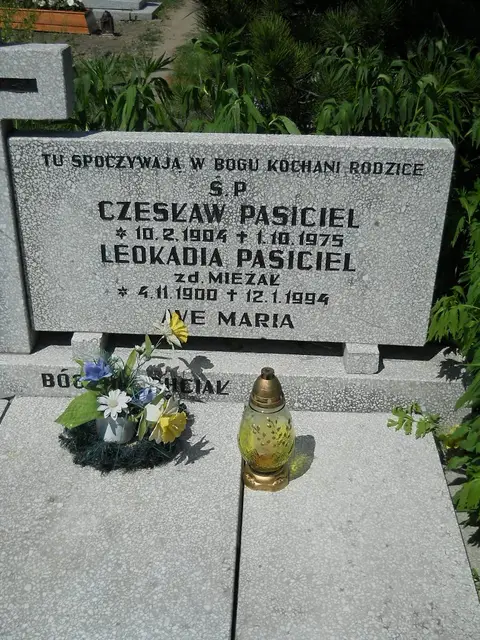 Zdjęcie grobu 7/11807