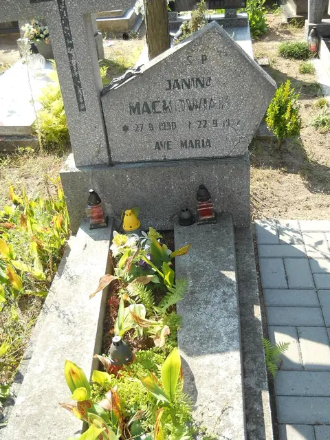 Zdjęcie grobu 14/27190