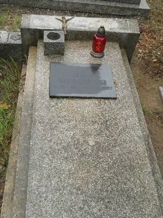 Zdjęcie grobu 36/100