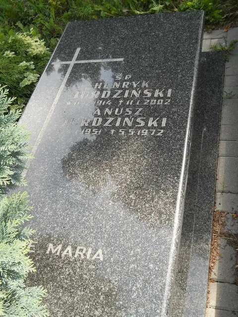 Zdjęcie grobu 9/24399
