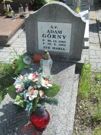 Zdjęcie grobu 25/308