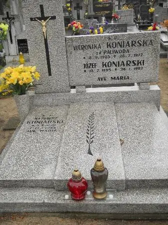 Zdjęcie grobu 36/232,233