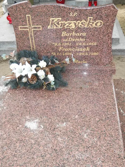 Zdjęcie grobu 8/10629