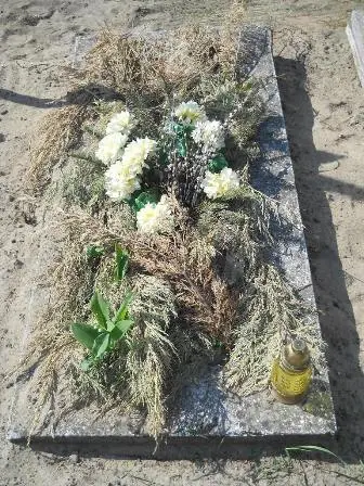 Zdjęcie grobu 14/100