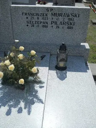 Zdjęcie grobu 25/311,311a