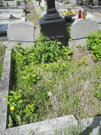 Zdjęcie grobu B/203,204