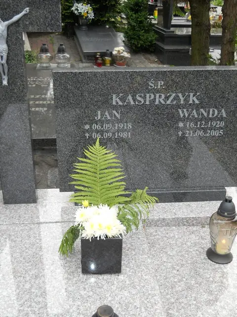 Zdjęcie grobu 7/11126