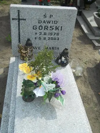Zdjęcie grobu 27/231