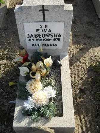 Zdjęcie grobu 6/627