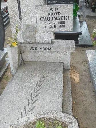 Zdjęcie grobu 26/100