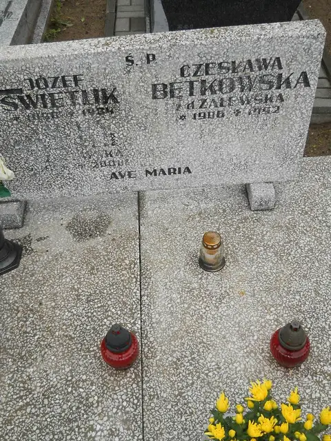 Zdjęcie grobu 24/23227