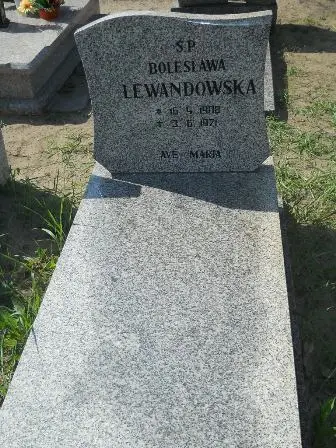 Zdjęcie grobu 14/100