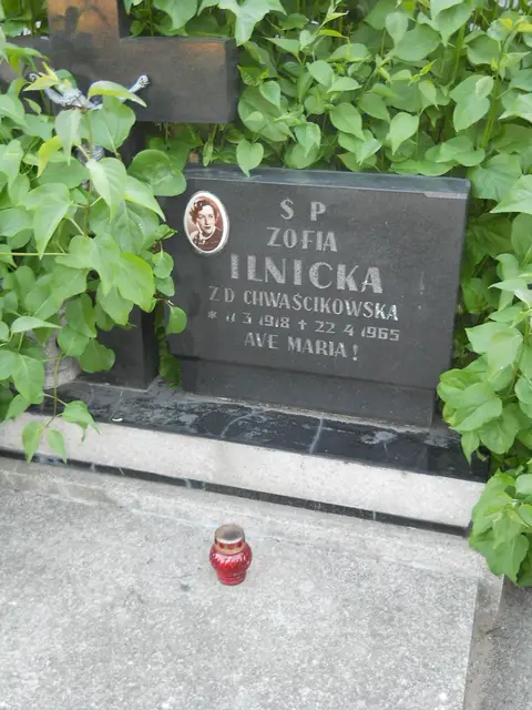 Zdjęcie grobu 13/12216
