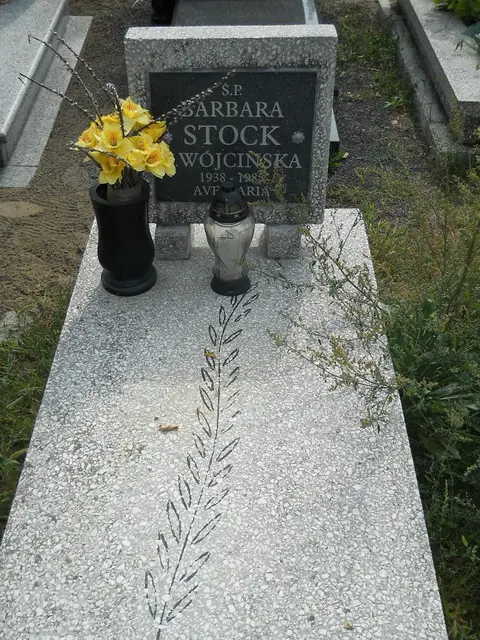 Zdjęcie grobu 16/26242