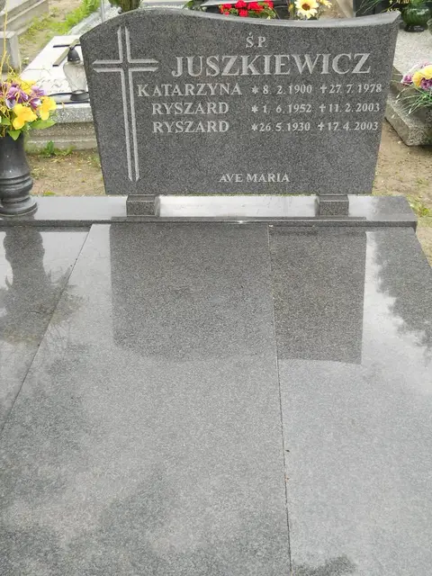 Zdjęcie grobu 7/10845