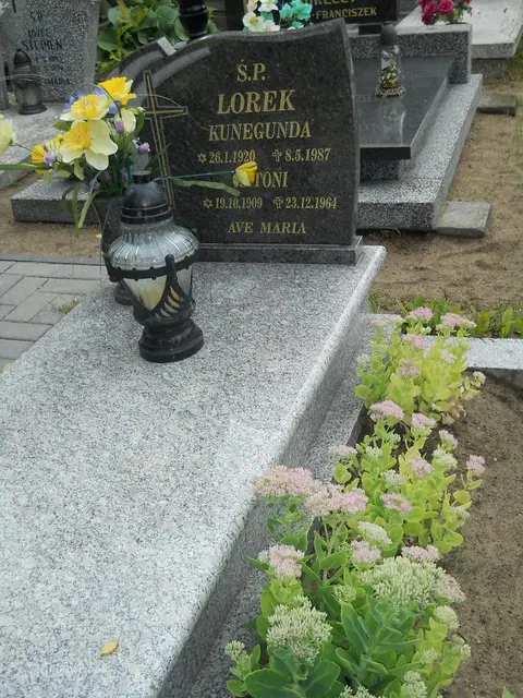 Zdjęcie grobu 16/26178