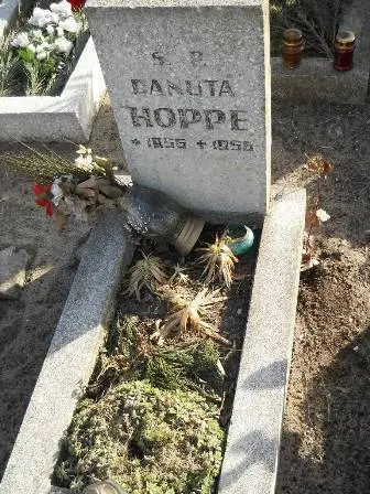 Zdjęcie grobu 100/100