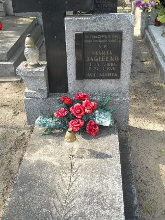 Zdjęcie grobu 24/100
