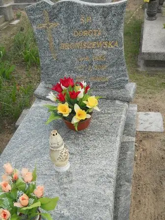 Zdjęcie grobu 42/176b