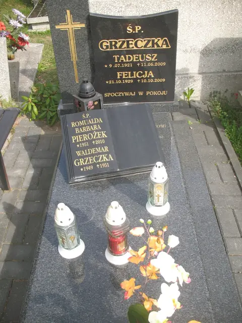 Zdjęcie grobu 7/11930