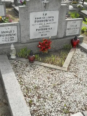Zdjęcie grobu 27/100