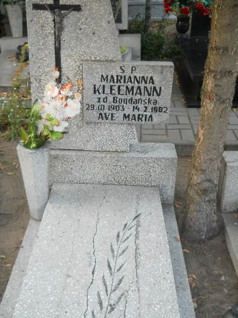 Zdjęcie grobu 17/1919/82