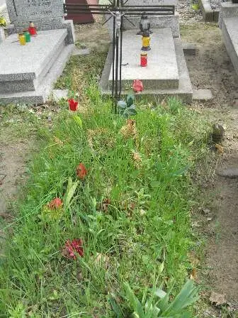 Zdjęcie grobu 9/100