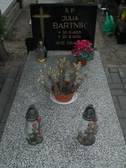 Zdjęcie grobu 9/24503