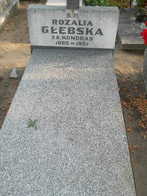 Zdjęcie grobu 15/26739