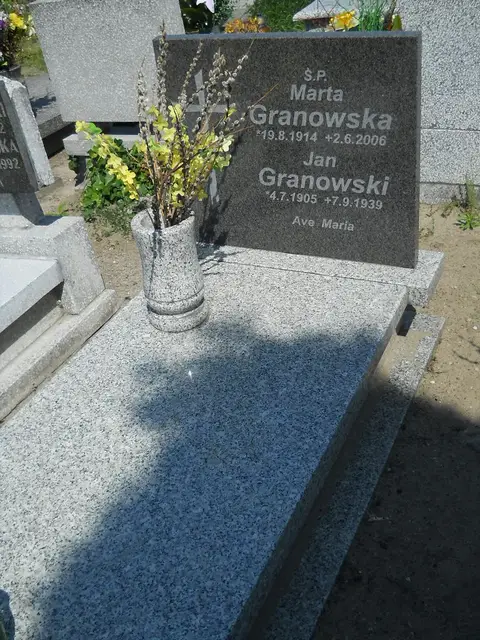 Zdjęcie grobu 7/11851