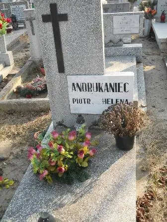Zdjęcie grobu 2/238