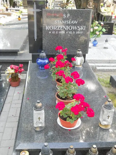 Zdjęcie grobu 6/24394