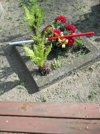 Zdjęcie grobu 9/100