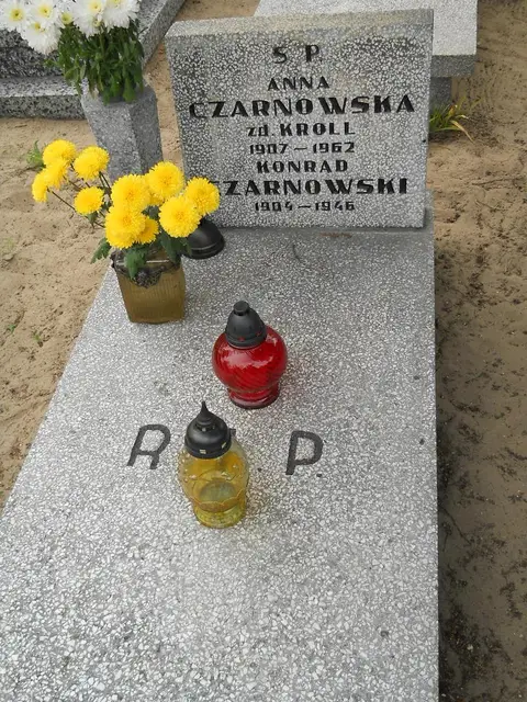 Zdjęcie grobu 9/24505