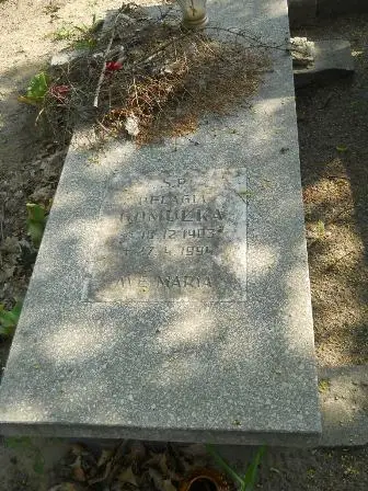 Zdjęcie grobu 29/113